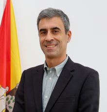 Ricardo Manuel Coelho Videira