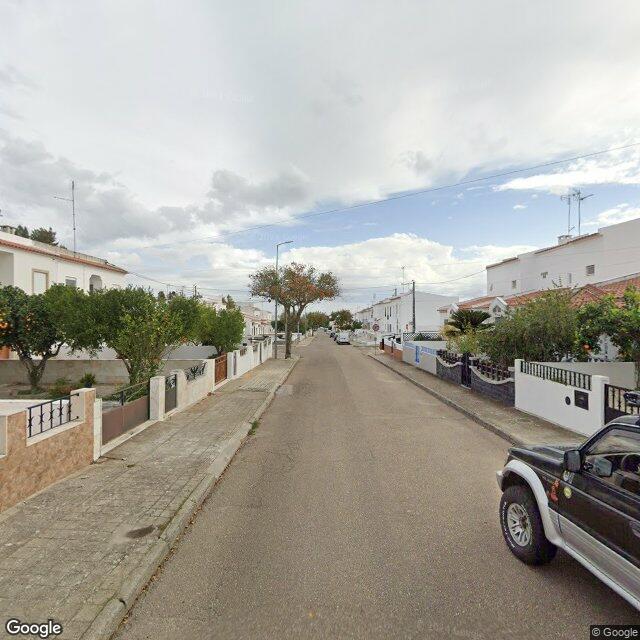Queda De Árvore em acompanhamento no concelho de Campo Maior
